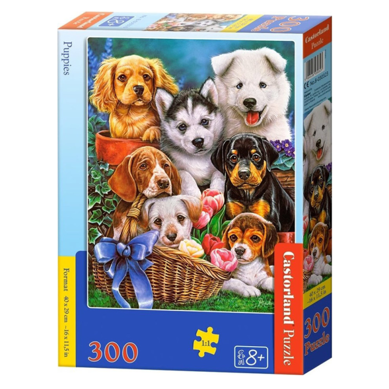 Castorland - Puzzle, Puppies 300 Pcs B-030323