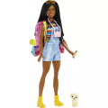 Mattel Barbie - Family Camping, Brooklyn HDF74 (HDF72)