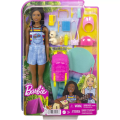 Mattel Barbie - Family Camping, Brooklyn HDF74 (HDF72)
