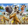 Prime 3D - 3D Puzzle Meerkats Selfie 500 Pcs 10362