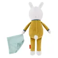 Fisher Price - Κουνελάκι Όνειρα Γλυκά Με Smart Connect Τεχνολογία GMN58 Fisher Price - Κουνελάκι Όνειρα Γλυκά Με Smart Connect Τεχνολογία GMN58