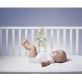 Chicco - Βρεφικό Παιχνίδι Αρκουδάκι Με Μελωδία 11128