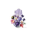 Lego Editions - Olivia Rodrigo's Flower Bouquet 11507
