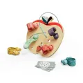 Top Bright - Ξύλινο Παιχνίδι Apple Worms 121123 Top Bright - Ξύλινο Παιχνίδι Apple Worms 121123