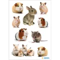 Herma - Αυτοκολλητάκια, Rodent Family 15784 Herma - Αυτοκολλητάκια, Rodent Family 15784
