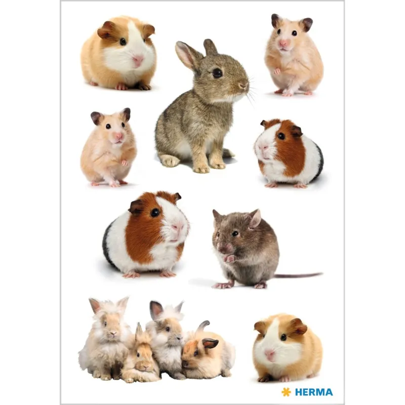 Herma - Αυτοκολλητάκια, Rodent Family 15784