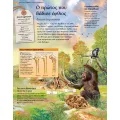 Ταξίδι Στην Προϊστορία