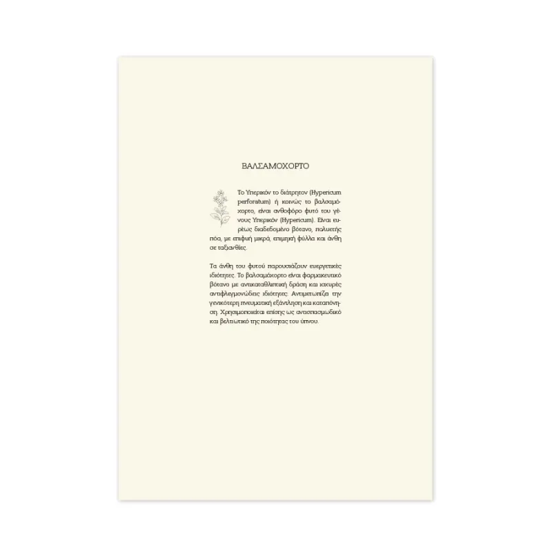 Adbook - Ημερήσιο Ημερολόγιο Botanical 2026, Light Green 17x25 HM-3233-33