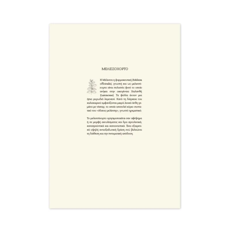 Adbook - Ημερήσιο Ημερολόγιο Botanical 2026, Light Blue 17x25 HM-3233-27