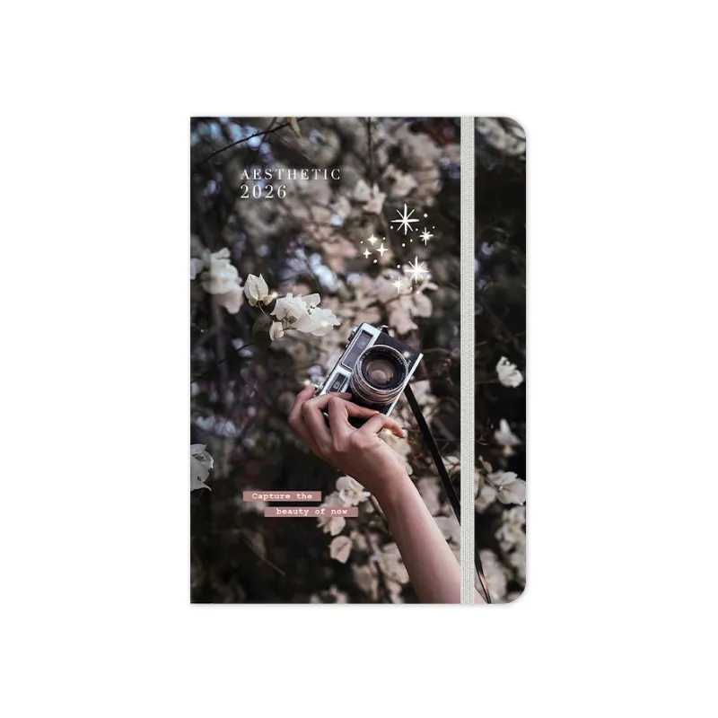 Adbook - Ημερήσιο Ημερολόγιο Aesthetic 2026, Capture The Beauty Of Now 9x13 HM-3426B