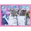 Trefl - Puzzle 4 in 1, Fun Cats 54/48/35/70 Pcs 34396 Trefl - Puzzle 4 in 1, Fun Cats 54/48/35/70 Pcs 34396