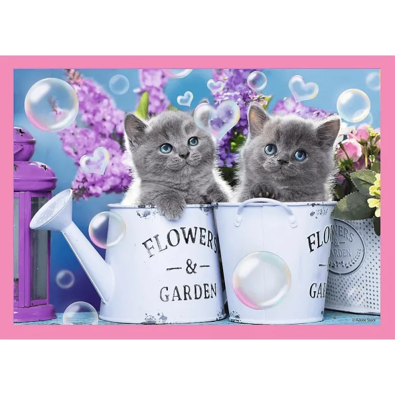 Trefl - Puzzle 4 in 1, Fun Cats 54/48/35/70 Pcs 34396