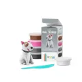 Hey Clay - Bull Terrier 50186