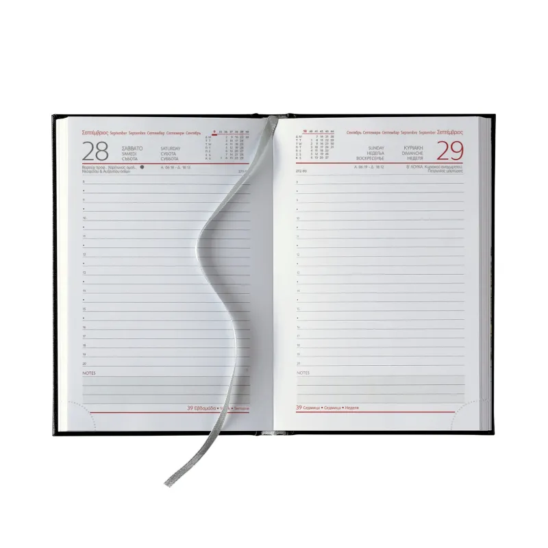 Θεοφύλακτος - Ημερήσιο Ημερολόγιο Fancy 2026, Soft Blur 11x16.5 68599.001