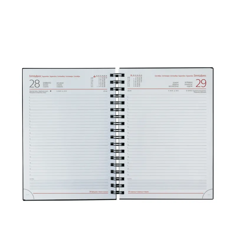 Θεοφύλακτος - Ημερήσιο Ημερολόγιο Σπιράλ Kashmir 2026, Charcoal 17x24 708C1.D57