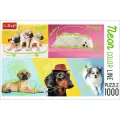 Trefl - Puzzle Neon Color Line, Far Out Dogs 1000 pcs 10578 Trefl - Puzzle Neon Color Line, Far Out Dogs 1000 pcs 10578