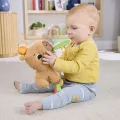 Fisher Price - Μαλακό Καπιμπάρα Δραστηριοτήτων HYR54 Fisher Price - Μαλακό Καπιμπάρα Δραστηριοτήτων HYR54