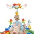 Fisher Price - Γυμναστήριο Με Περιστρεφόμενο Λουλούδι 3 Σε 1 HYR60