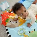 Fisher Price - Γυμναστήριο Με Περιστρεφόμενο Λουλούδι 3 Σε 1 HYR60