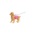 Mattel Barbie - Family & Friends, Puppy Walks! JJB46