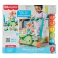 Fisher Price - Moves With You Turtle Walker JKD63