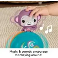 Fisher Price - Fisher Price Μαϊμουδάκι - Μπαλίτσα Με Κίνηση JLB95