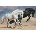 Diamond Dotz - Ψηφιδωτό, Horse Play SD7.403 Diamond Dotz - Ψηφιδωτό, Horse Play SD7.403