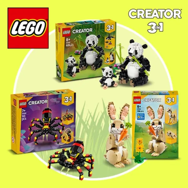 Lego Αγόρι