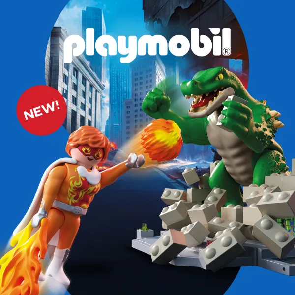 Playmobil Heroes