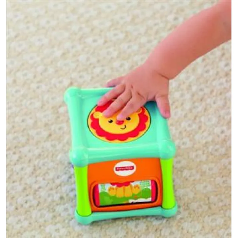 Fisher Price Κύβος Δραστηριοτήτων Με Ζωάκια (BFH80)