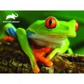 Prime 3D - 3D Puzzle Tree Frog 48 Pcs 13826 Prime 3D - 3D Puzzle Tree Frog 48 Pcs 13826