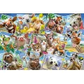 Schmidt Spiele – Puzzle Animal Selfies 200 Pcs 56294 Schmidt Spiele – Puzzle Animal Selfies 200 Pcs 56294