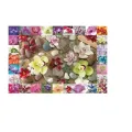 Schmidt Spiele – Puzzle Orchids 1000 Pcs 59632 Schmidt Spiele – Puzzle Orchids 1000 Pcs 59632