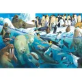 Schmidt Spiele – Animals Of The Polar Regions100 Pcs 56295 Schmidt Spiele – Animals Of The Polar Regions100 Pcs 56295