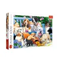Trefl - Puzzle Dogs In Garden 1000 Pcs 10556 Trefl - Puzzle Dogs In Garden 1000 Pcs 10556