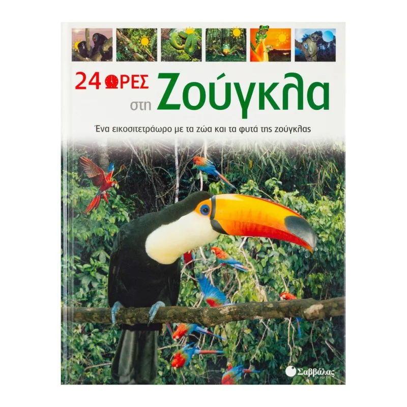 24 Ώρες - Στη Ζούγκλα