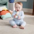 Fisher Price - Sesnimals Ζωάκια Δραστηριοτήτων - Χηνάκι Με Κρίκους HRB22 (HRB19)