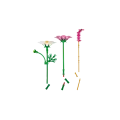 Lego Botanicals - Cosmos Flowers 11514