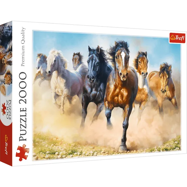 2000 Pcs