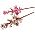 Lego Botanicals - Cherry Blossoms 40725