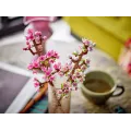 Lego Botanicals - Cherry Blossoms 40725