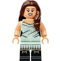 Lego Editions - Olivia Rodrigo's Vinyl 43028