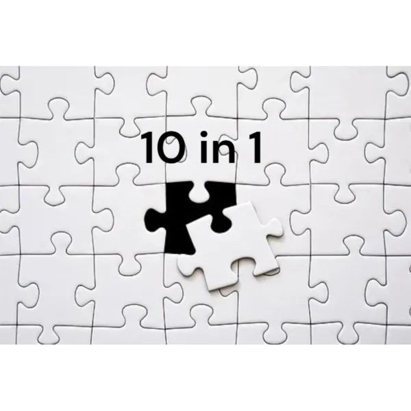 10 in 1