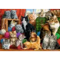 Trefl - Puzzle Feline Meeting 1000 Pcs 10555