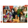 Trefl - Puzzle Feline Meeting 1000 Pcs 10555
