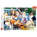 Trefl - Puzzle Dogs In Garden 1000 Pcs 10556 Trefl - Puzzle Dogs In Garden 1000 Pcs 10556