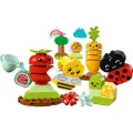 Lego Duplo - Organic Garden 10984 Lego Duplo - Organic Garden 10984