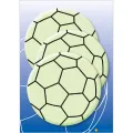 Herma - Αυτοκολλητάκια Glow In The Dark, Maxi Soccer 15024 Herma - Αυτοκολλητάκια Glow In The Dark, Maxi Soccer 15024