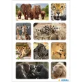 Herma - Αυτοκολλητάκια, Animals Of Africa 15620 Herma - Αυτοκολλητάκια, Animals Of Africa 15620