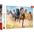 Trefl – Puzzle Galloping Herd Of Horses 2000 Pcs 27098 Trefl – Puzzle Galloping Herd Of Horses 2000 Pcs 27098